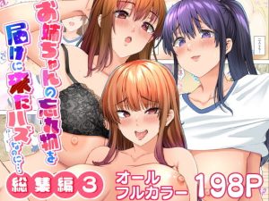 お姉ちゃんの忘れ物を届けに来たハズなのに…総集編3