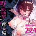 野々原柚花のヒミツのハイシン総集編
