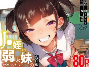 ●●姪っ子の弱味を握ってから…。〜妹の告白編〜