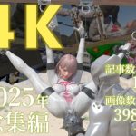 tsumayoji研究所 2025年 総集編 ［4K version］