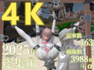 tsumayoji研究所 2025年 総集編 ［4K version］