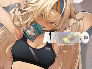 AMNERO2