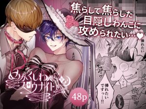 めかくしわんことスロウナイトを